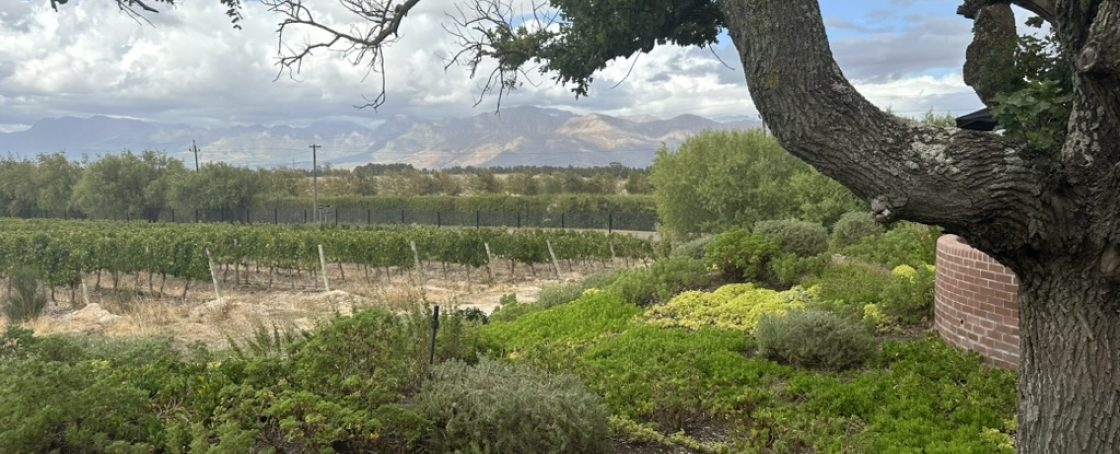 C32503BD-939F-4759-862D-B7AD59A47045_1_105_c