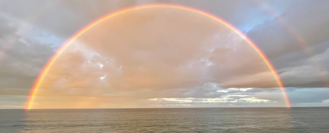 photo-1636775590247-4d7a3aac5617 photo-1636775590247-4d7a3aac5617